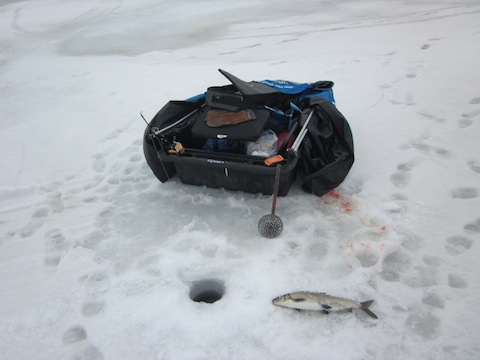 Bob's Catch
